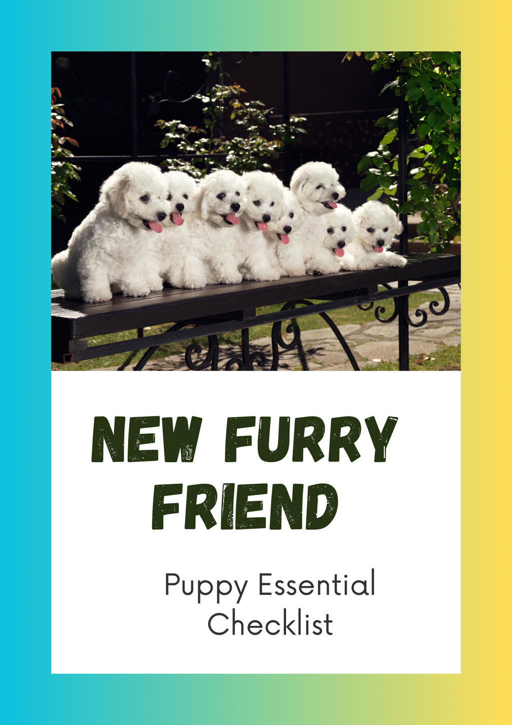 Pet & Dog Lovers Bundle
